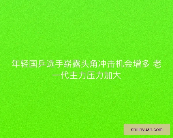 年轻国乒选手崭露头角冲击机会增多 老一代主力压力加大